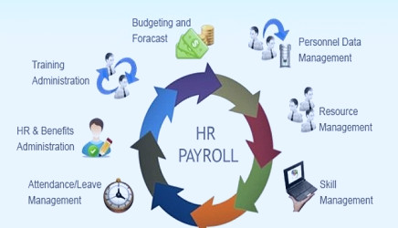 Deserving Features of HR Payroll System